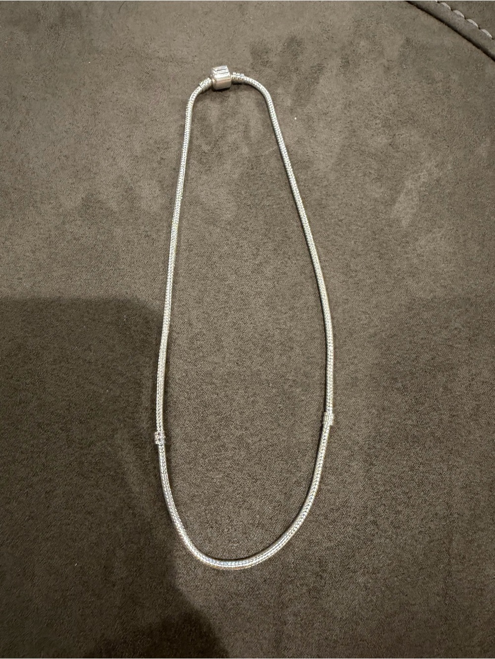 Others Follow Silver Snake Chain Necklace